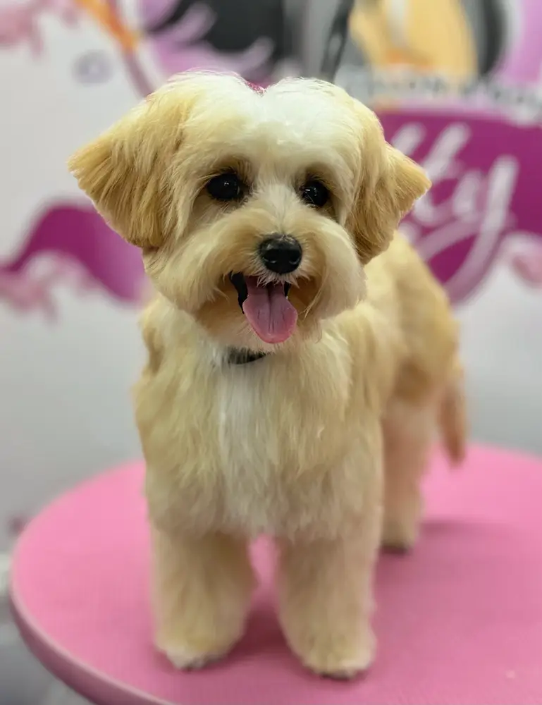 Betty photo 192