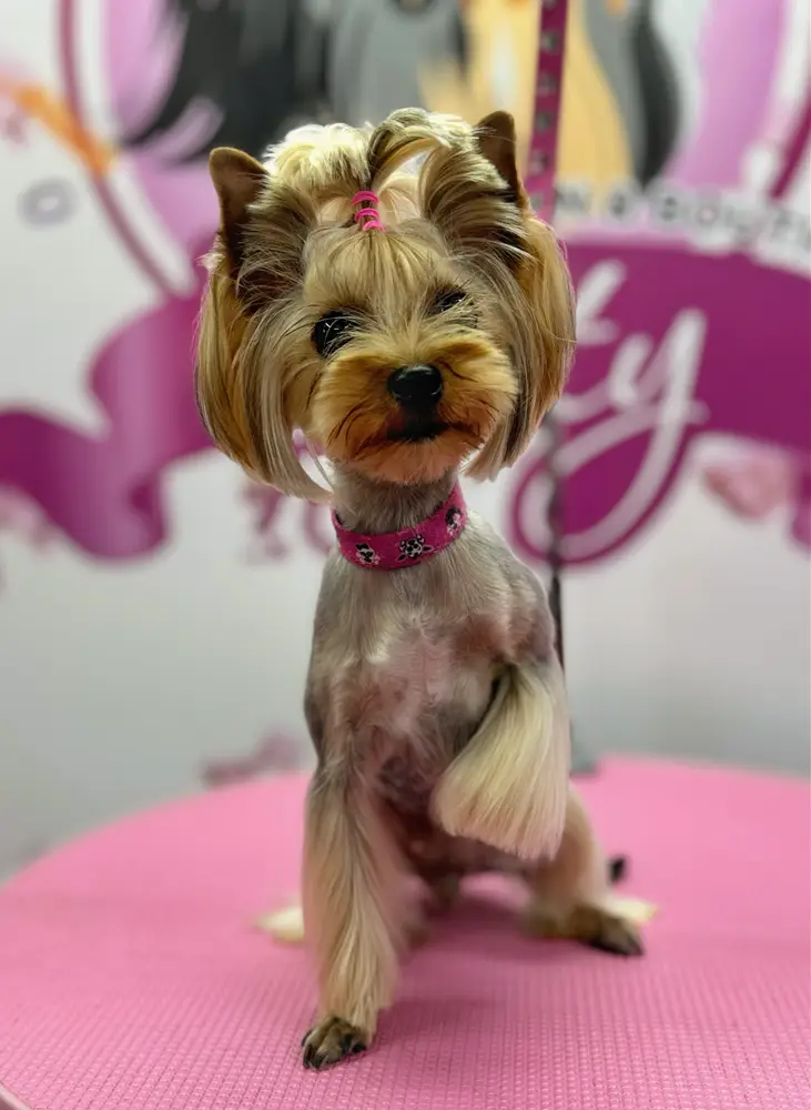 Betty photo 193