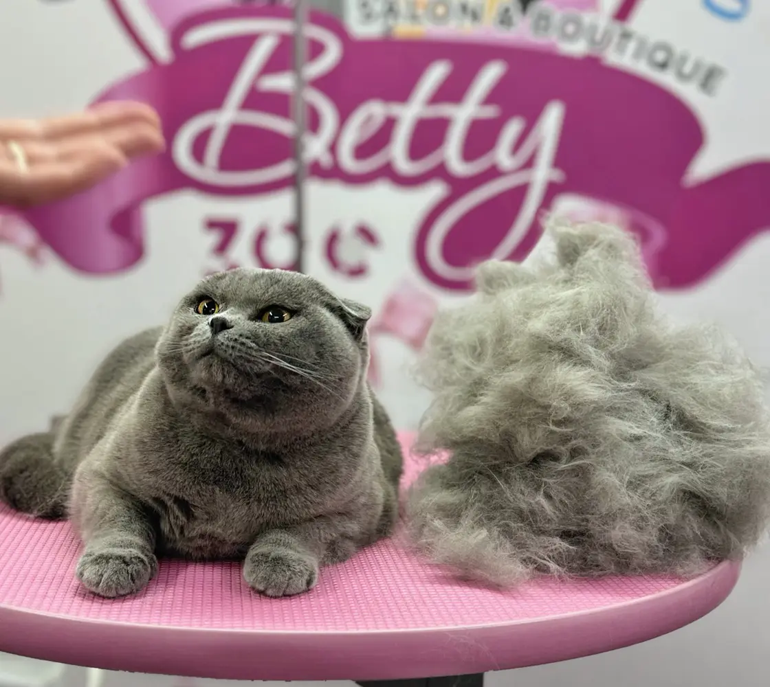 Betty photo 195