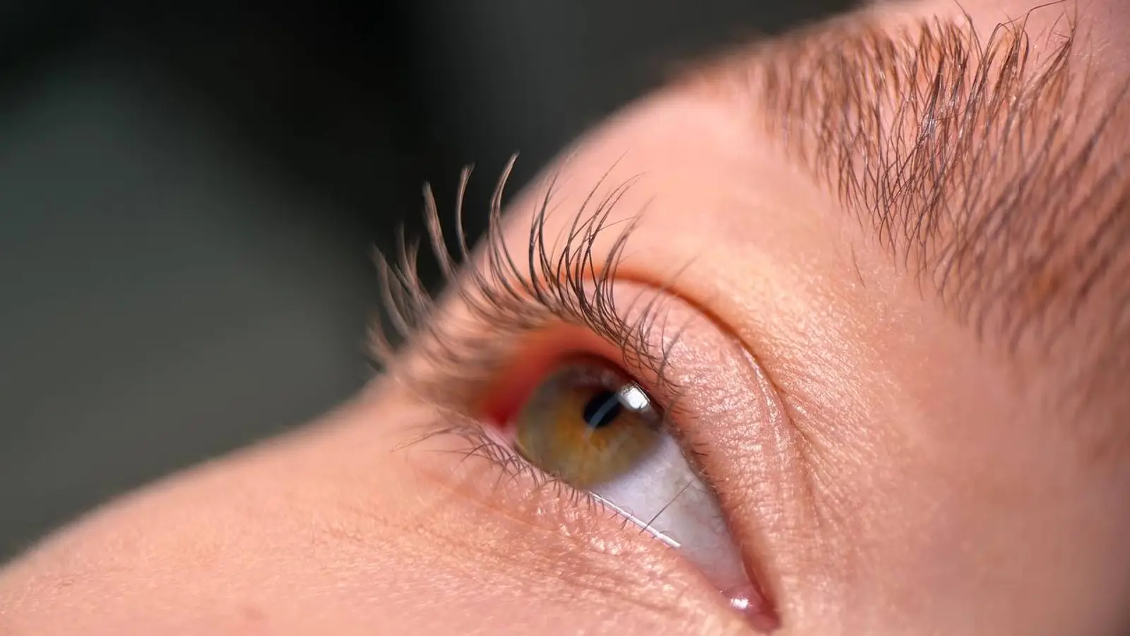 kmiets brows & lashes photo 4