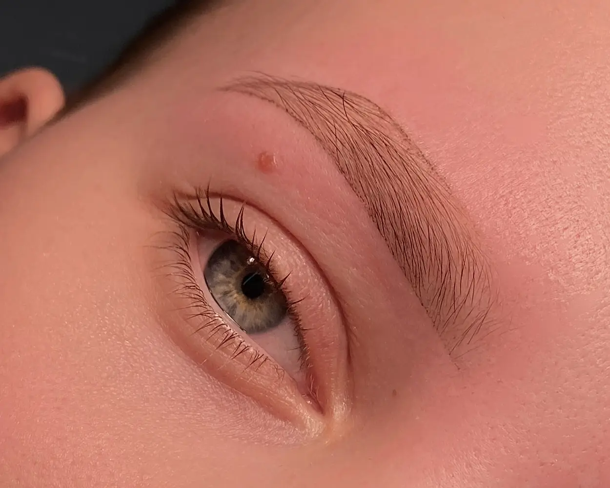 kmiets brows & lashes photo 6