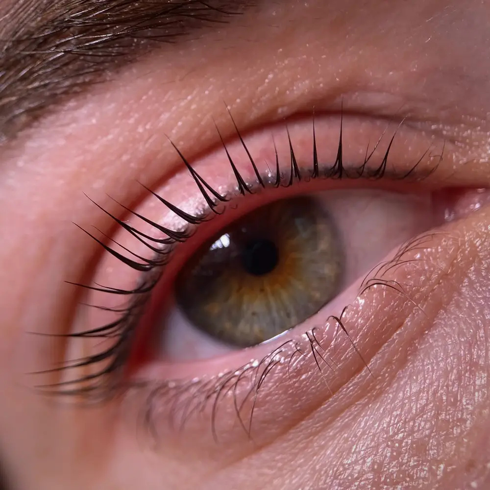 kmiets brows & lashes photo 7