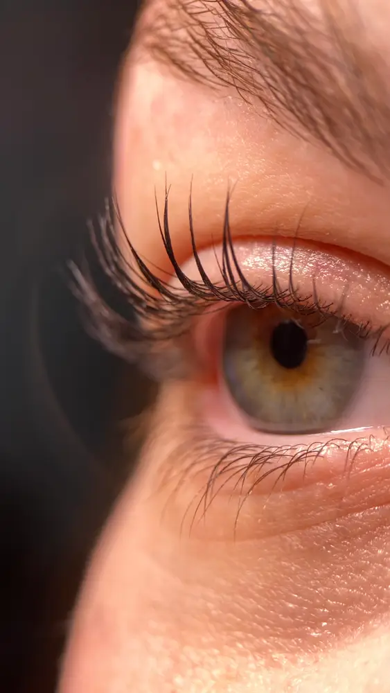 kmiets brows & lashes photo 8