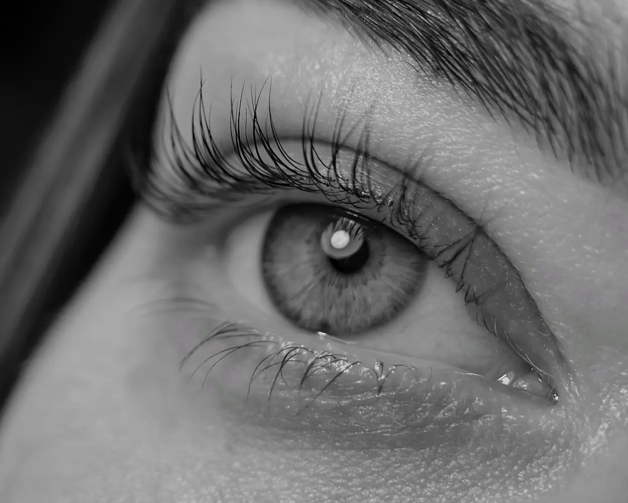 kmiets brows & lashes photo 19