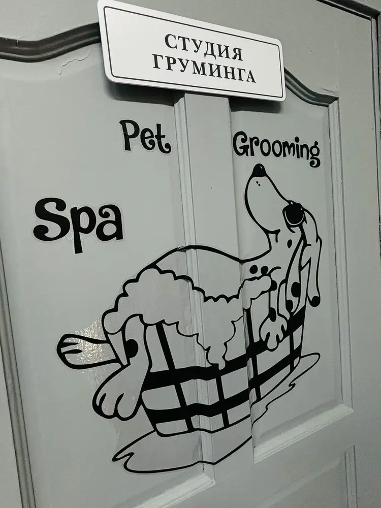ABC Pets Казахфильм photo 3