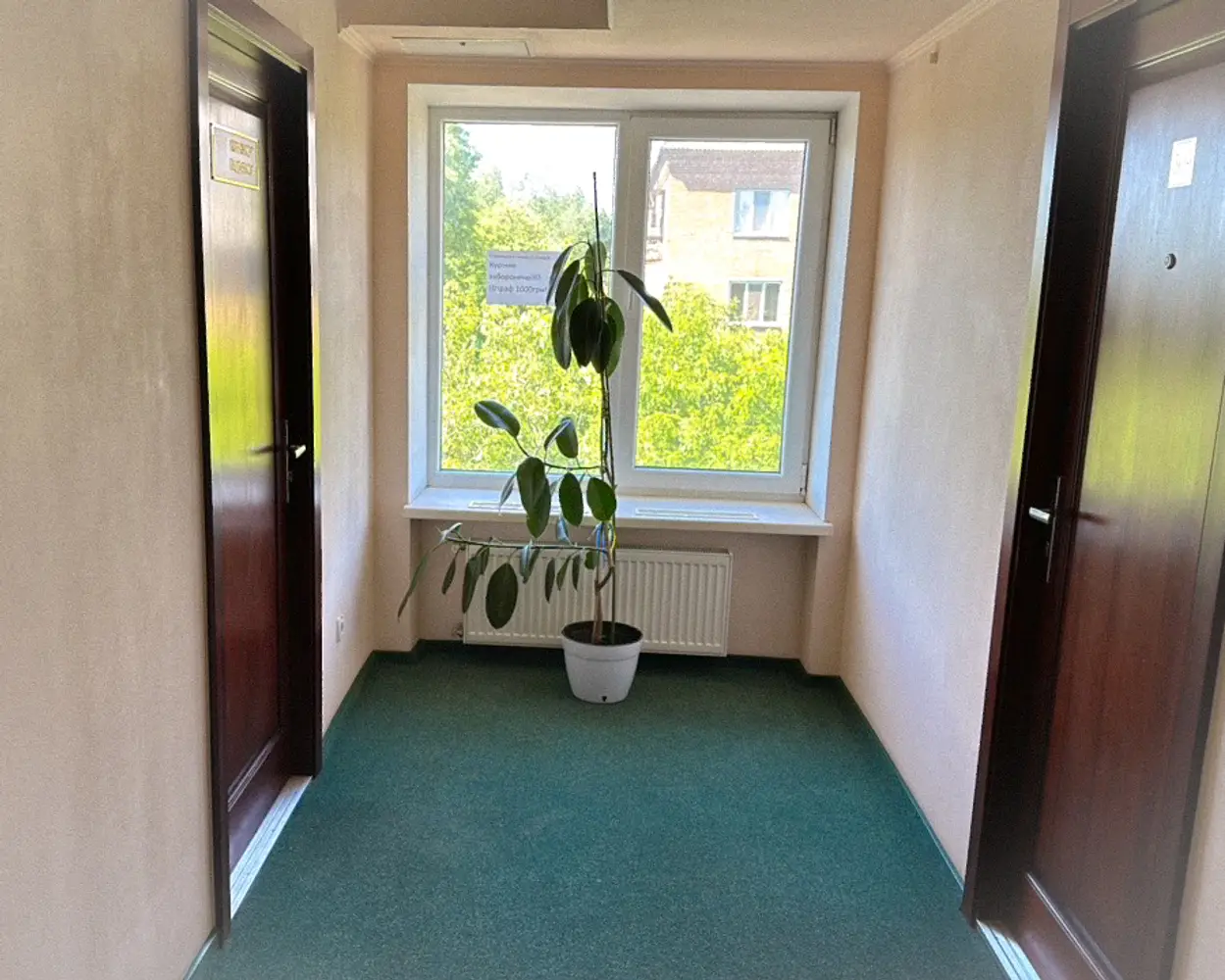 YaNails - манікюр та педикюр у Кривому Розі photo 1