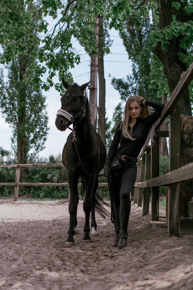Shewchuk Stable photo 14