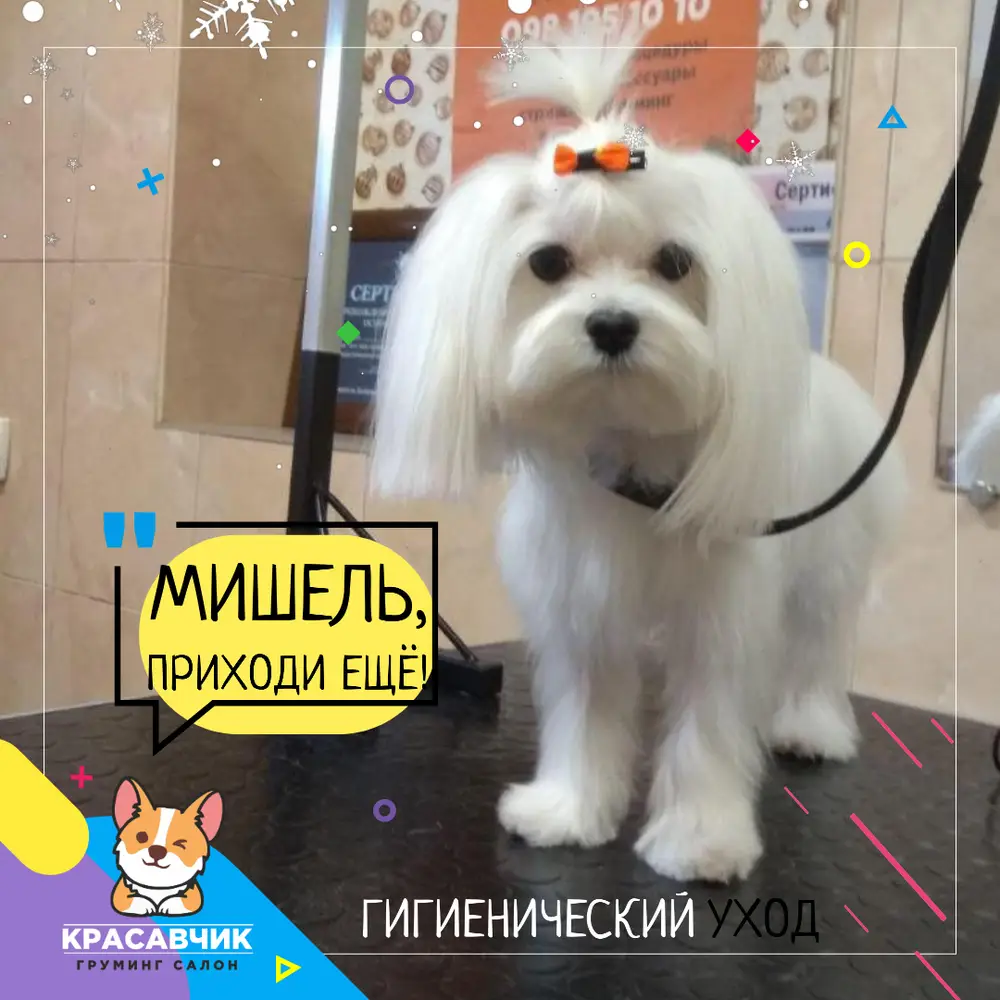 Красунчик photo 4