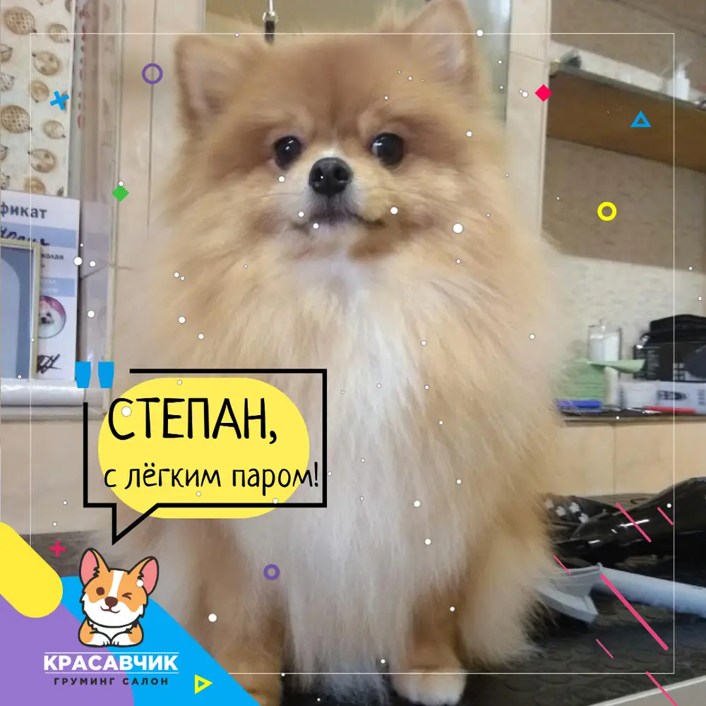 Красунчик photo 7