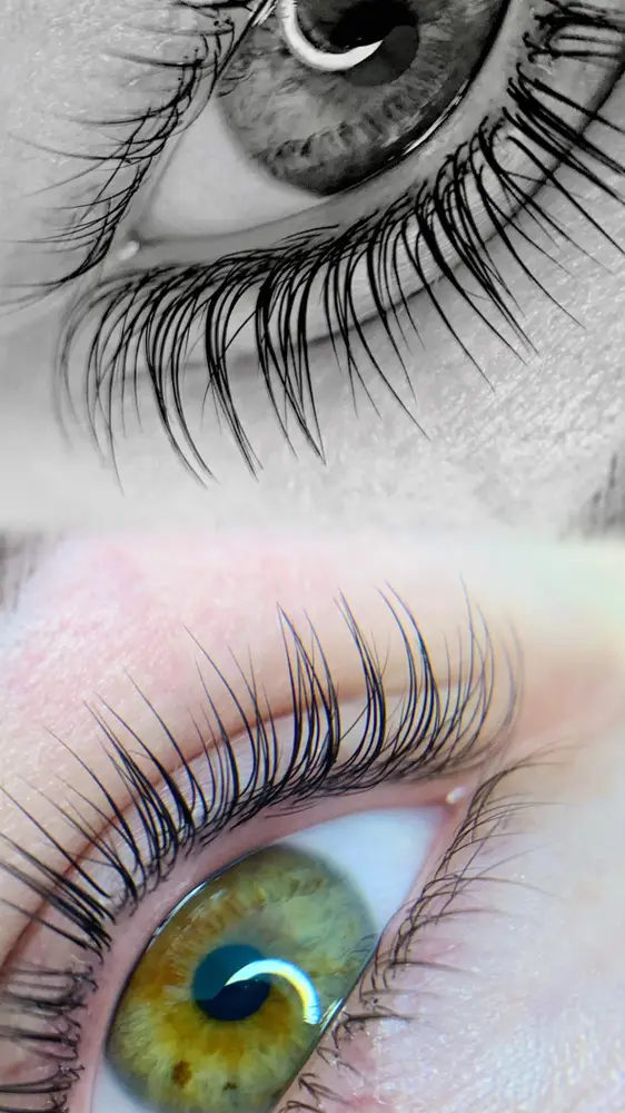 Brows & Lashes photo 4