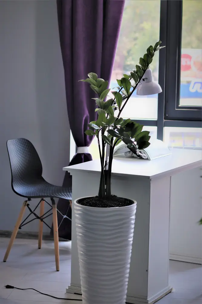 Assem Nail Studio photo 6
