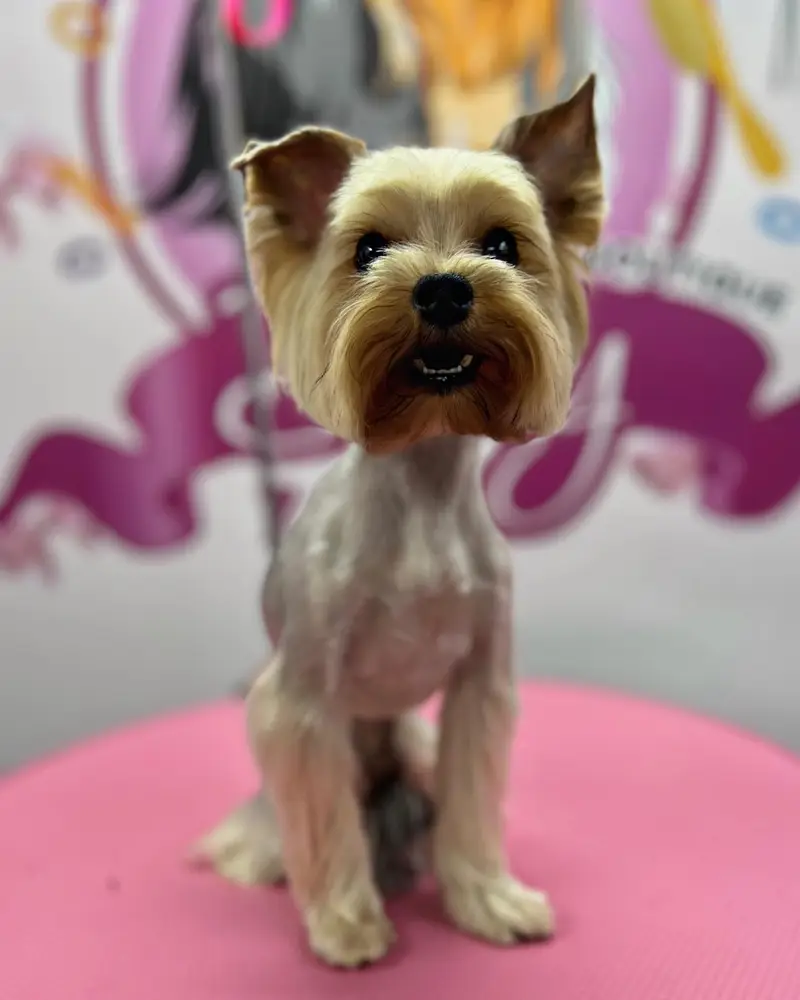 Betty photo 72