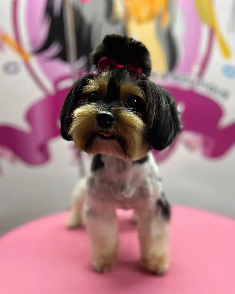 Betty photo 73