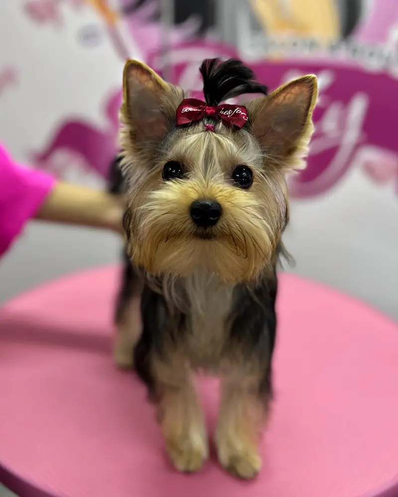Betty photo 74