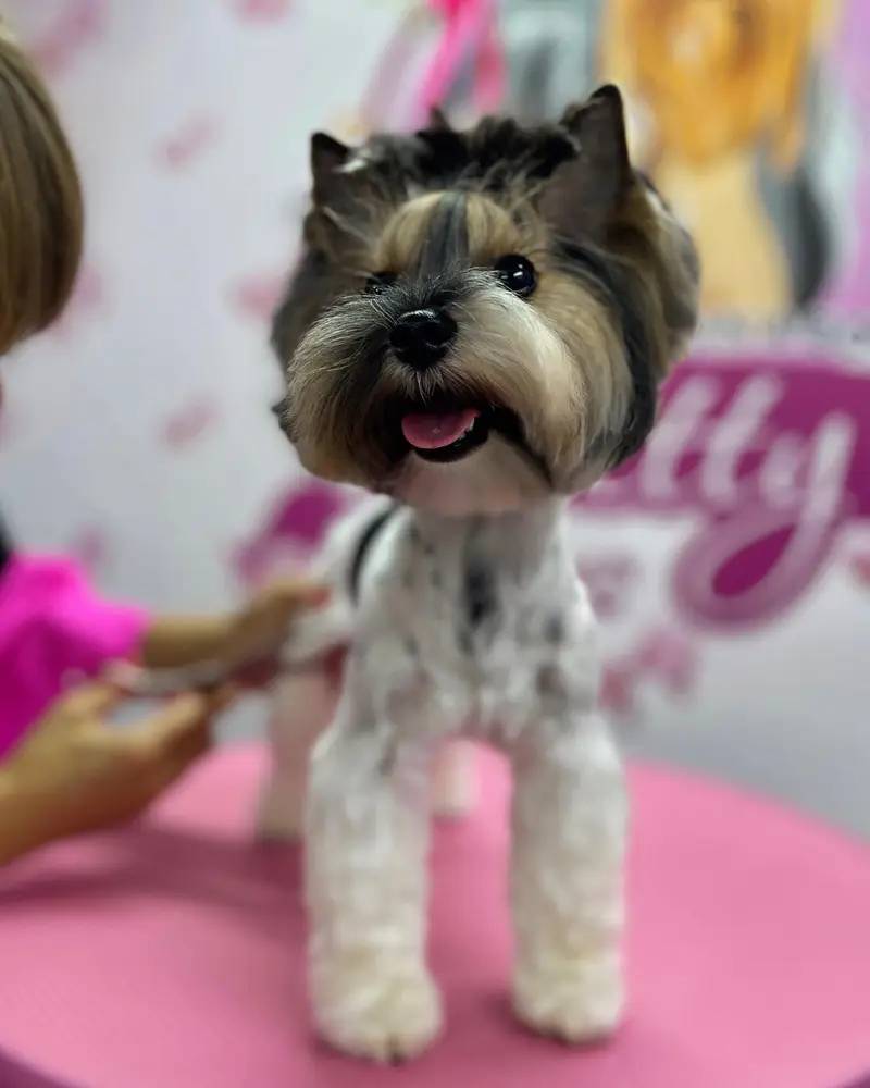 Betty photo 75
