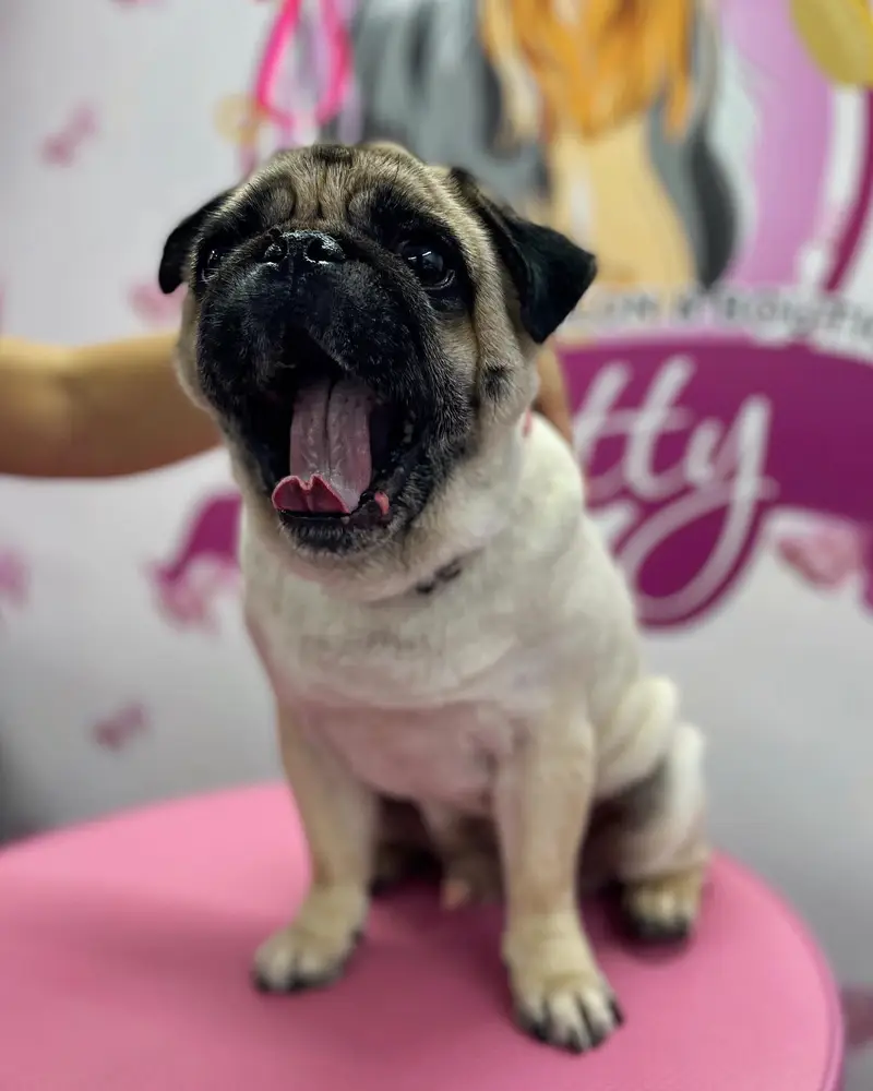 Betty photo 76
