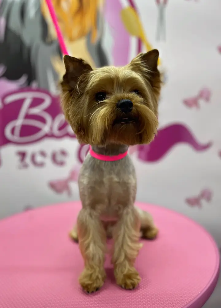 Betty photo 79