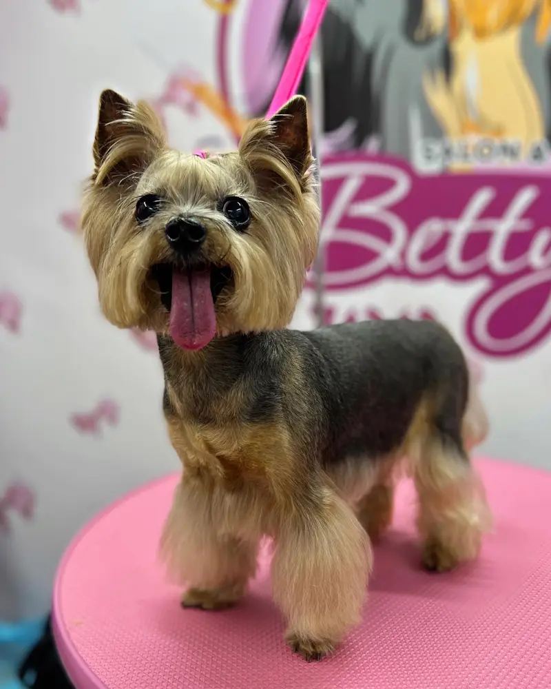 Betty photo 80