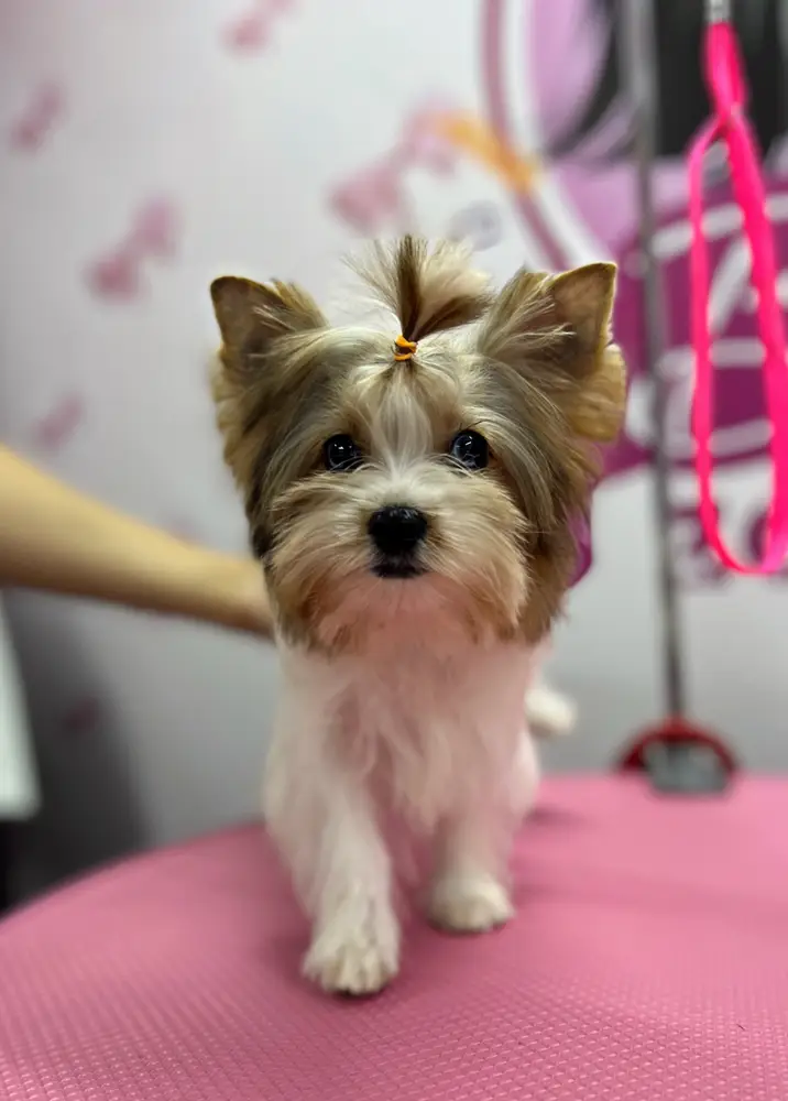 Betty photo 81