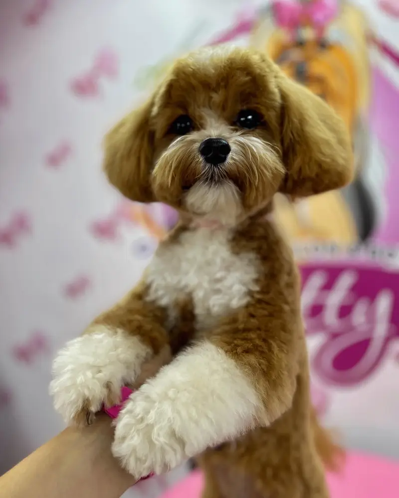 Betty photo 85