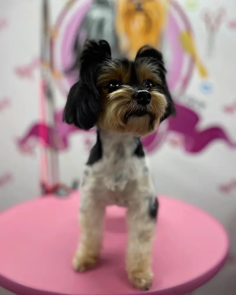 Betty photo 2