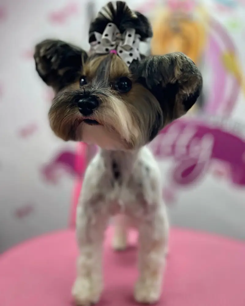 Betty photo 3