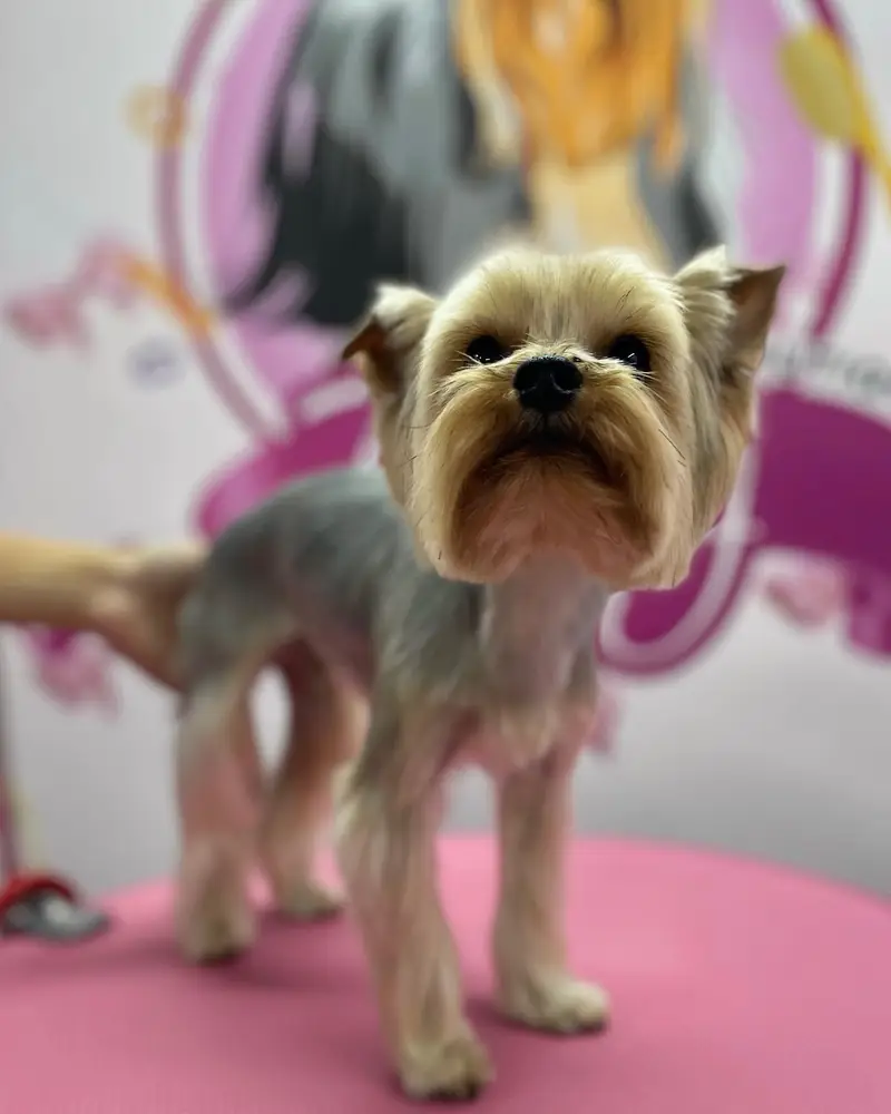 Betty photo 12