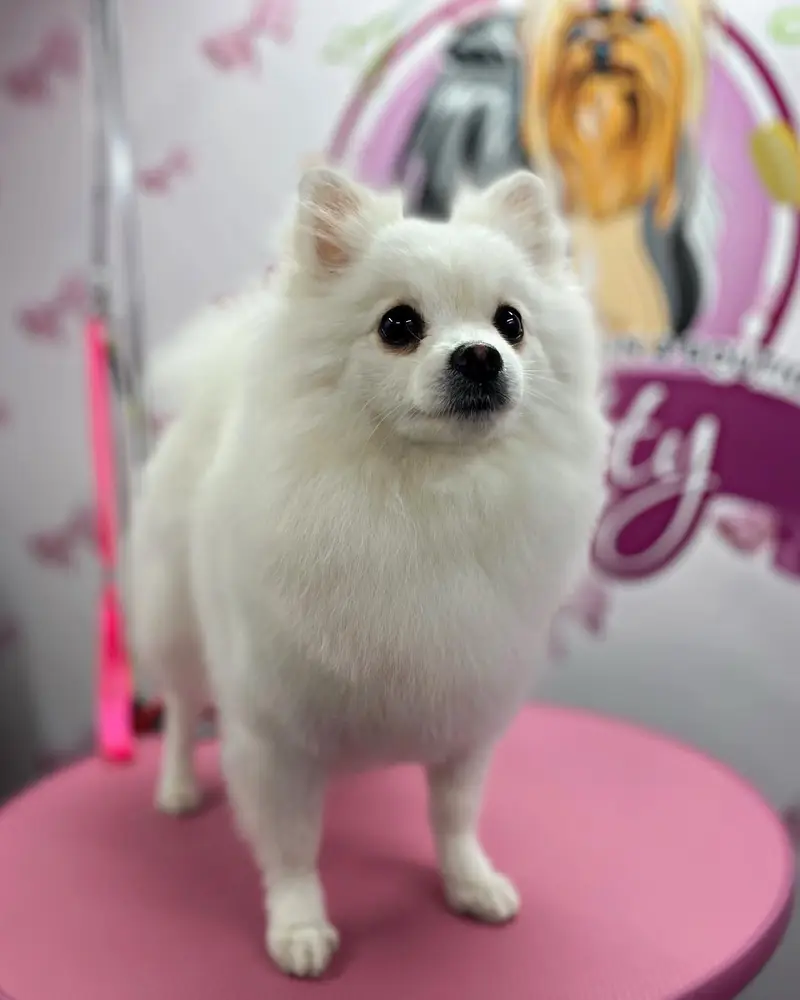 Betty photo 5