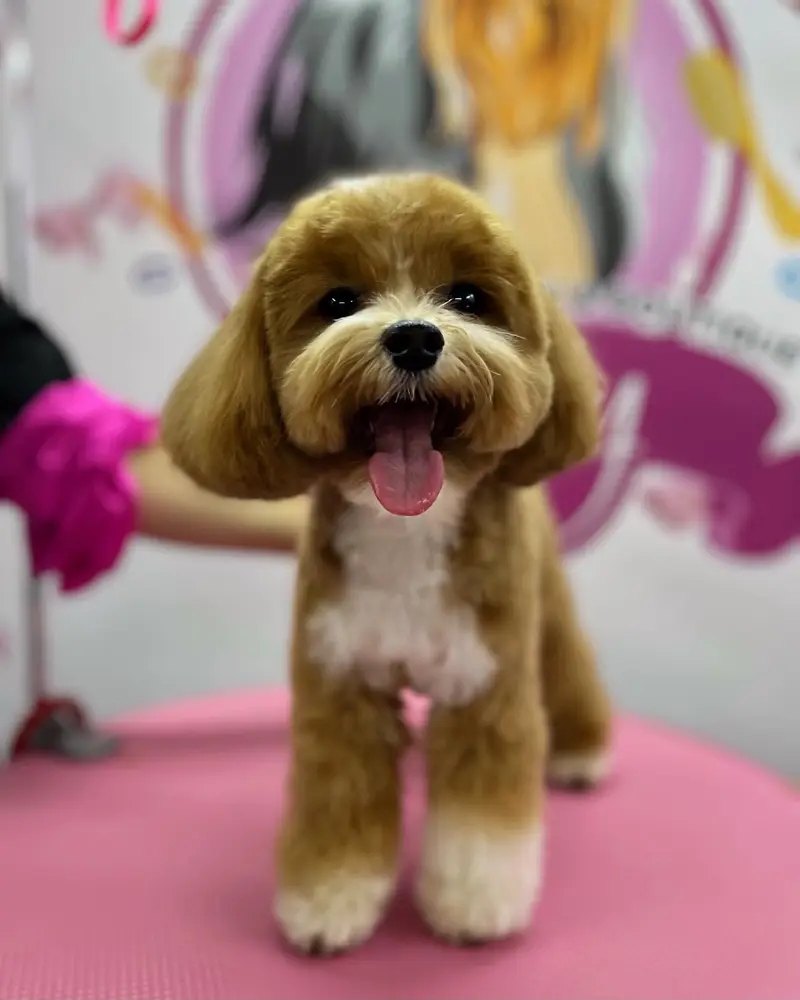 Betty photo 18