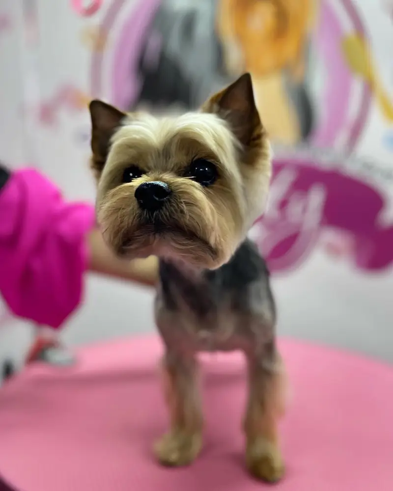 Betty photo 14