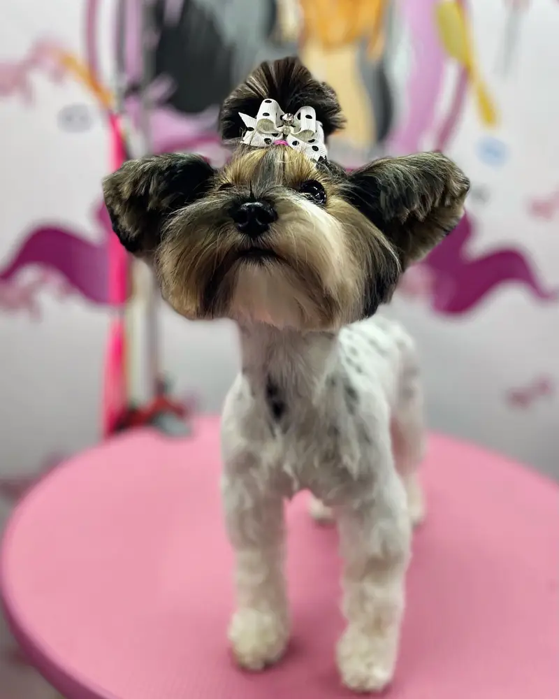 Betty photo 15