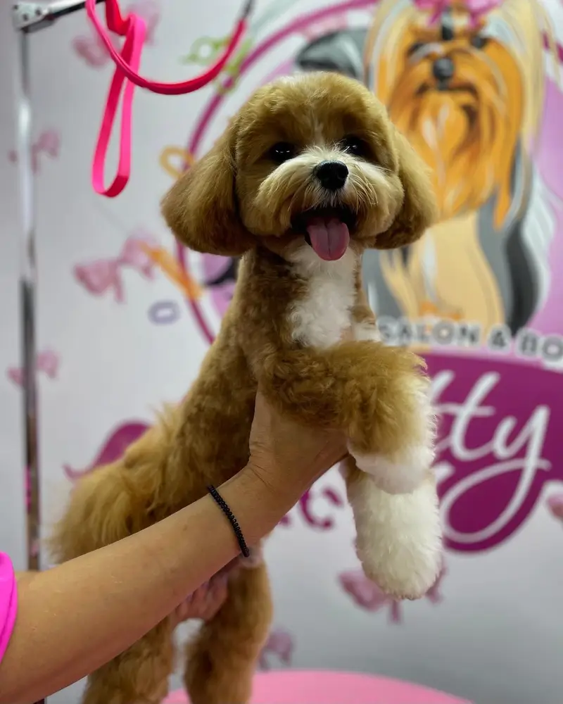 Betty photo 28