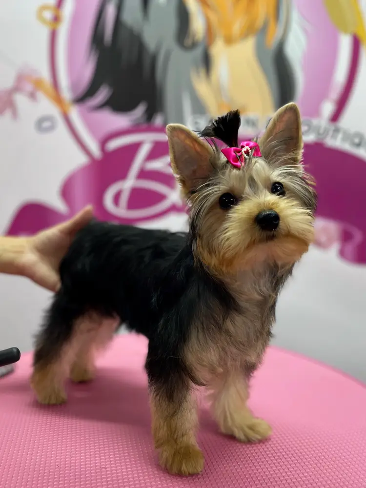 Betty photo 38