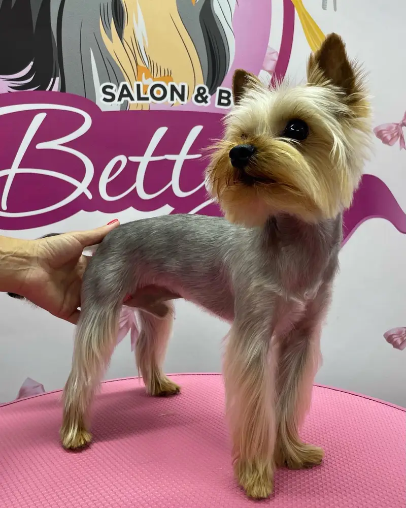 Betty photo 54