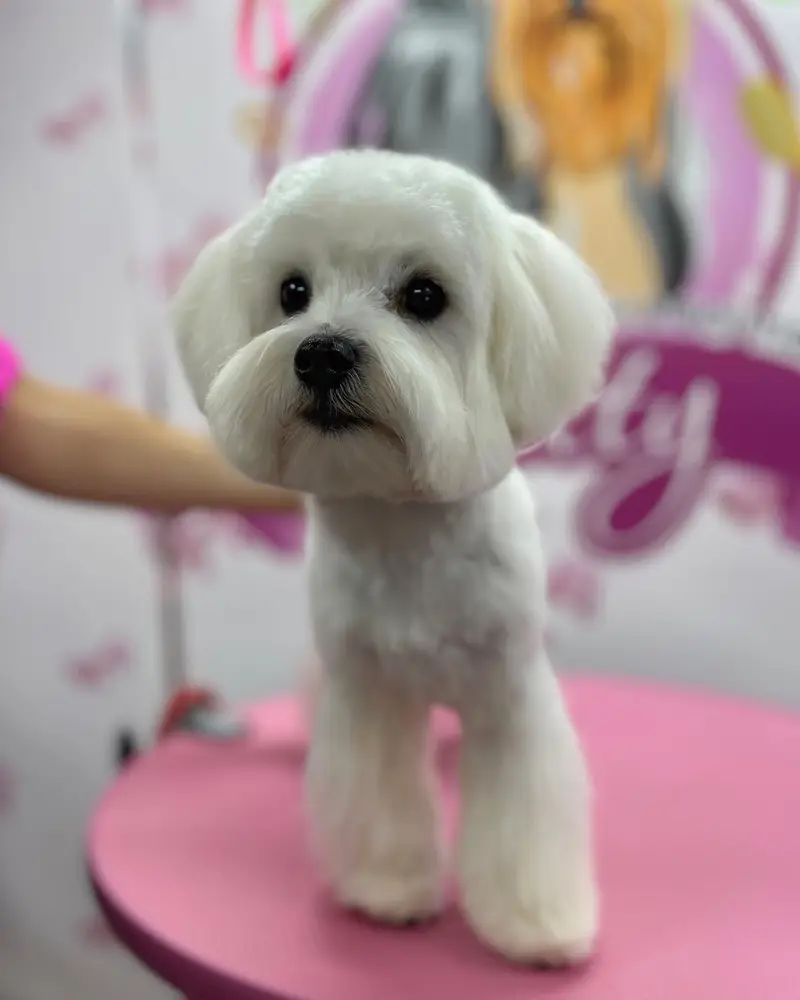 Betty photo 60