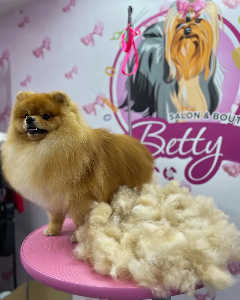 Betty photo 62