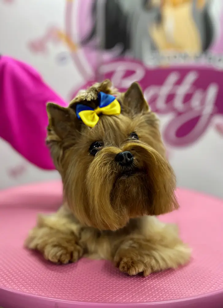 Betty photo 64