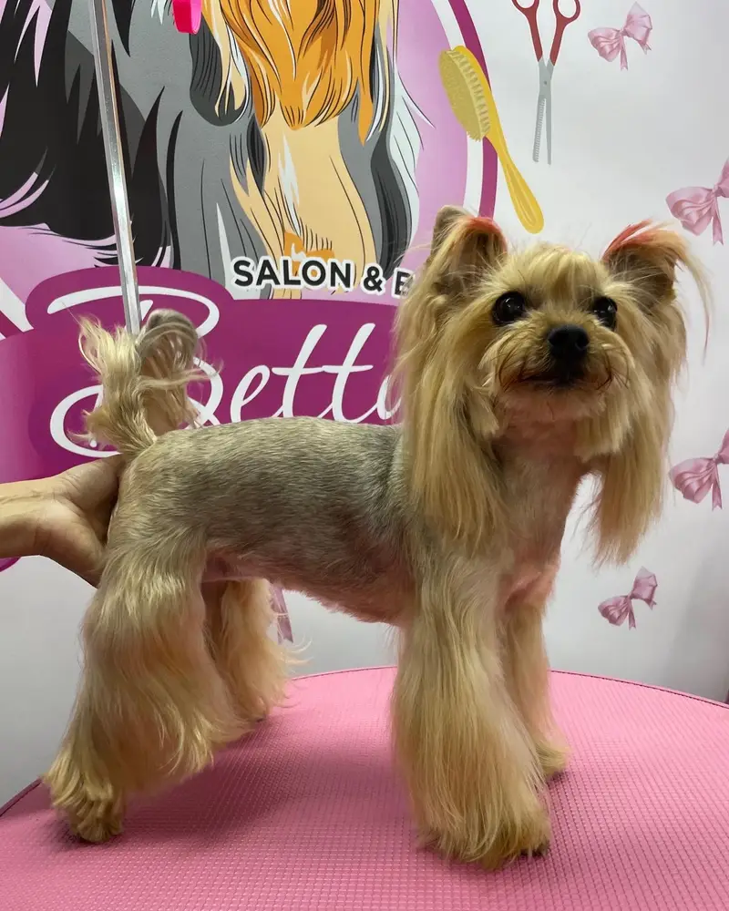 Betty photo 67