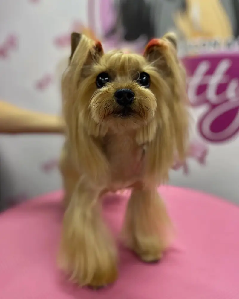Betty photo 65