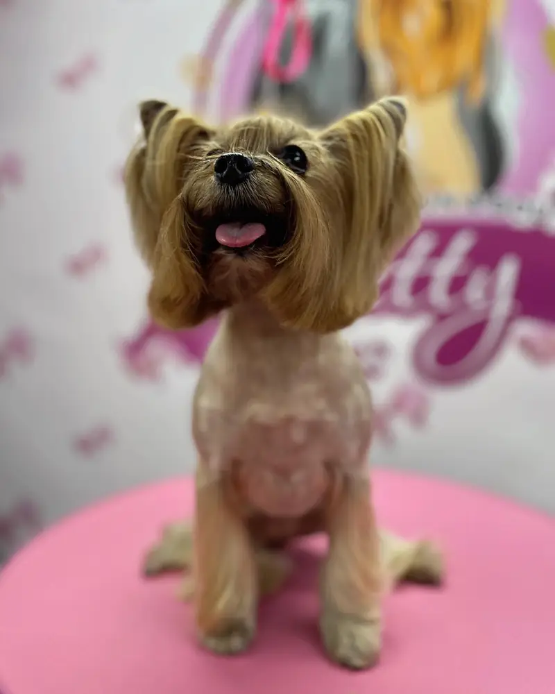 Betty photo 68