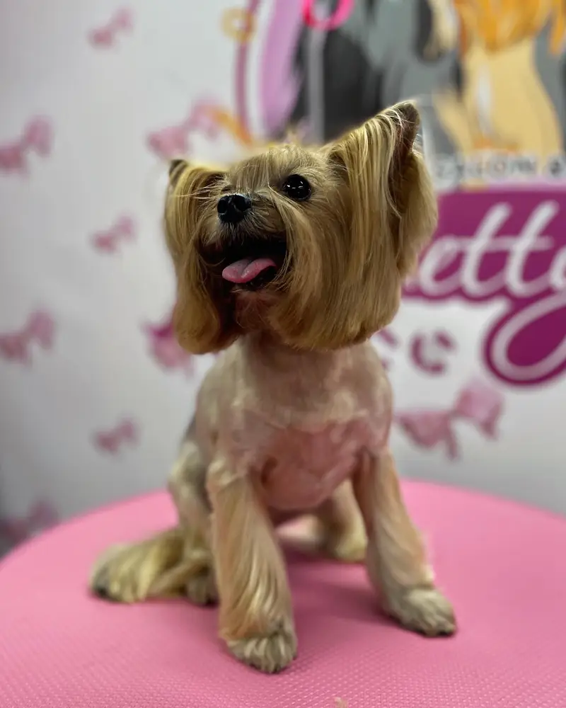 Betty photo 69