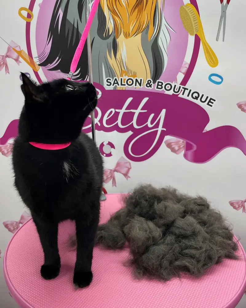 Betty photo 87