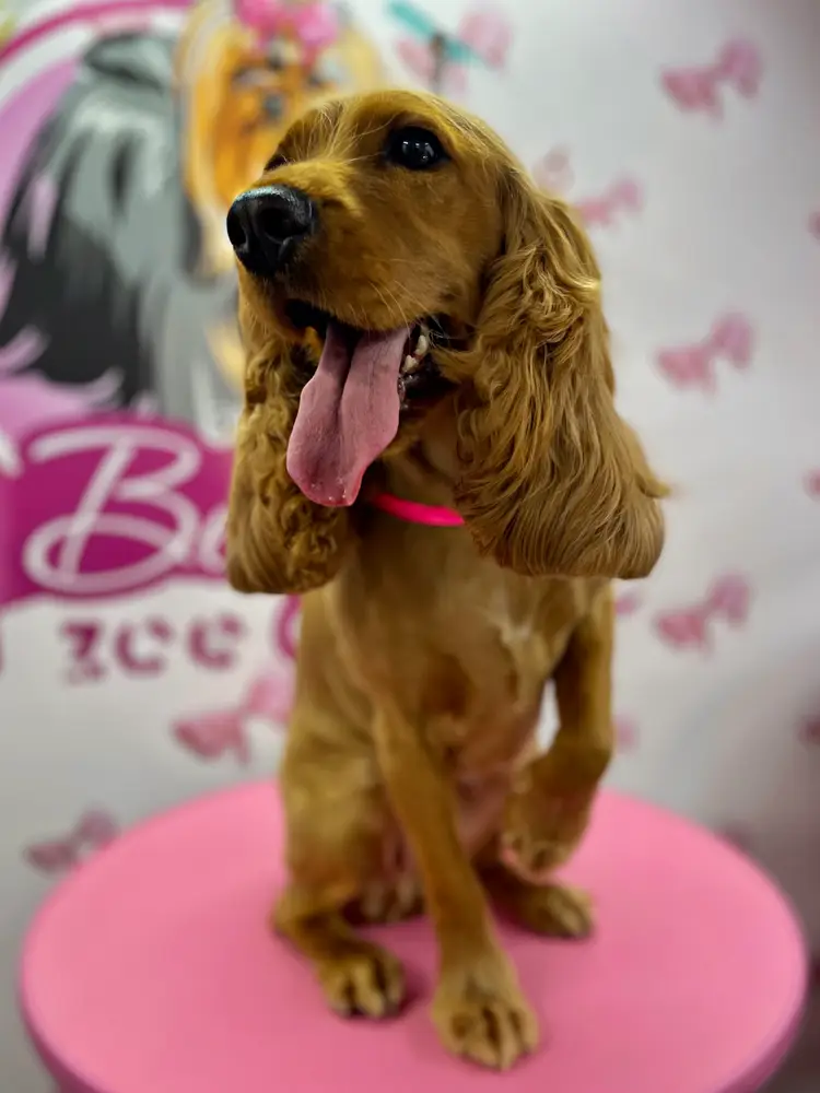 Betty photo 88