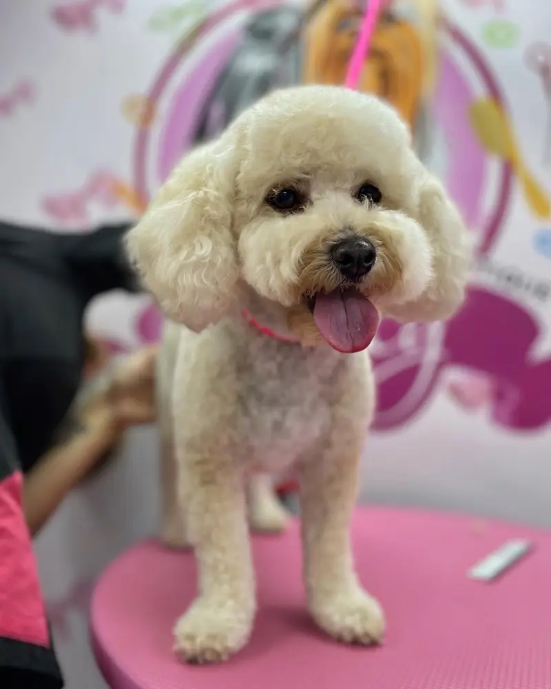 Betty photo 86