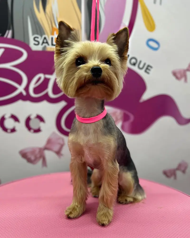 Betty photo 91