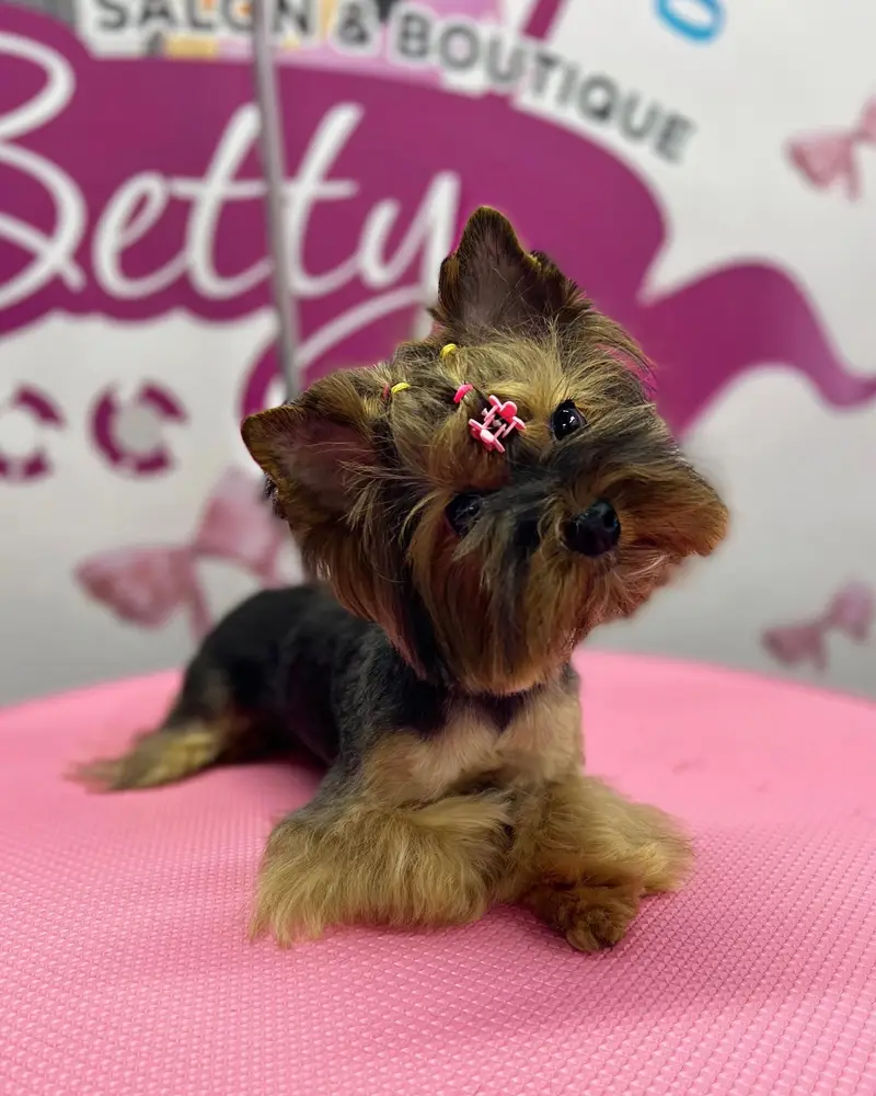 Betty photo 92