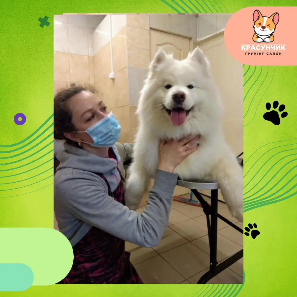 Красунчик photo 26
