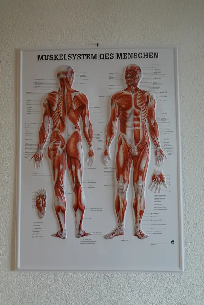 Massage Roten photo 6