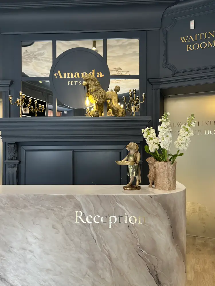Amanda Pet’s Spa photo 1