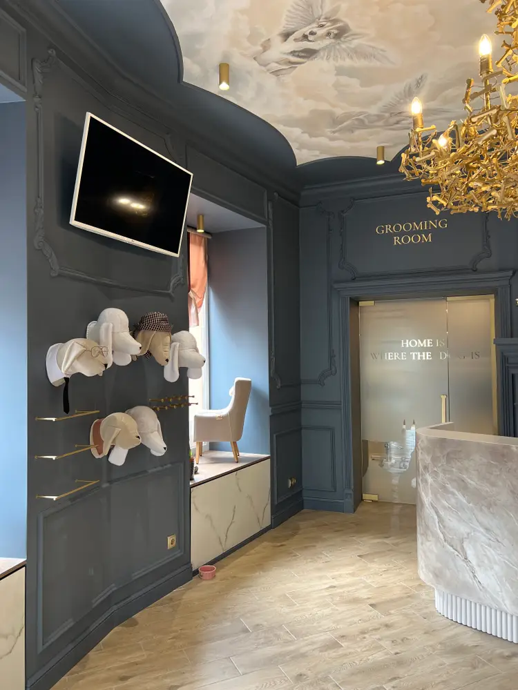 Amanda Pet’s Spa photo 3